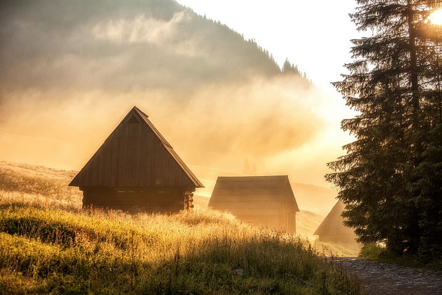 Wspieraj z nami WOŚP i ucz się fotografii od najlepszych! Licytacja pleneru z Adamem Brzozą
