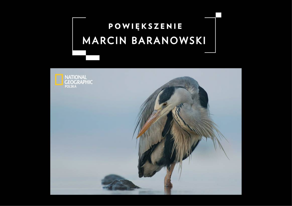 POWIĘKSZENIE: Marcin Baranowski