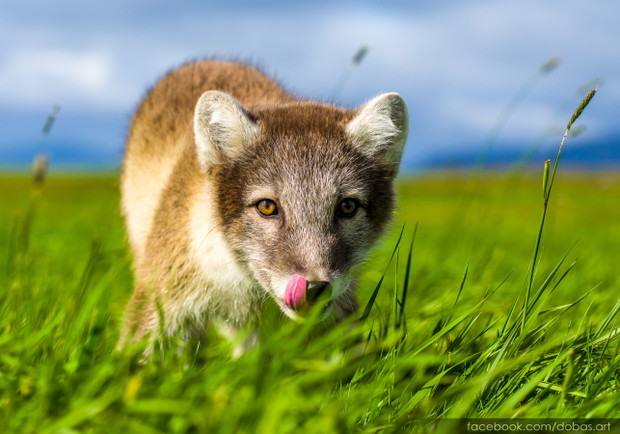 Poznaj kulisy pracy fotografa National Geographic. Będzie fotograficznie i inspirująco