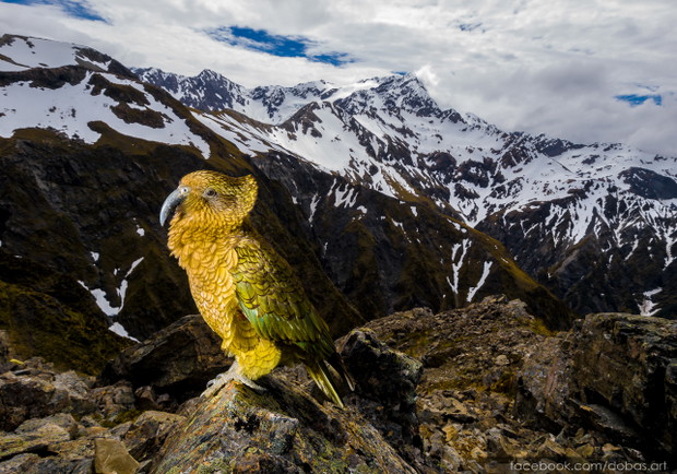 Poznaj kulisy pracy fotografa National Geographic. Będzie fotograficznie i inspirująco