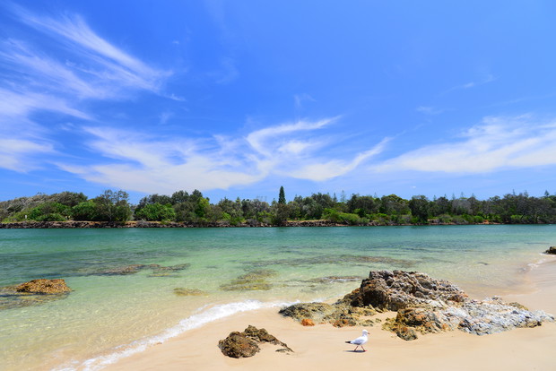 Brunswick Heads Nature Reserve