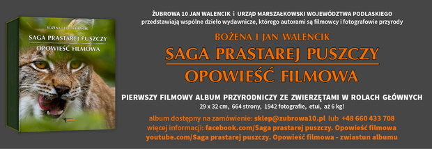 b85aa303fab8ded4188b438f806a973a7b3faf7e-fa3d4ef