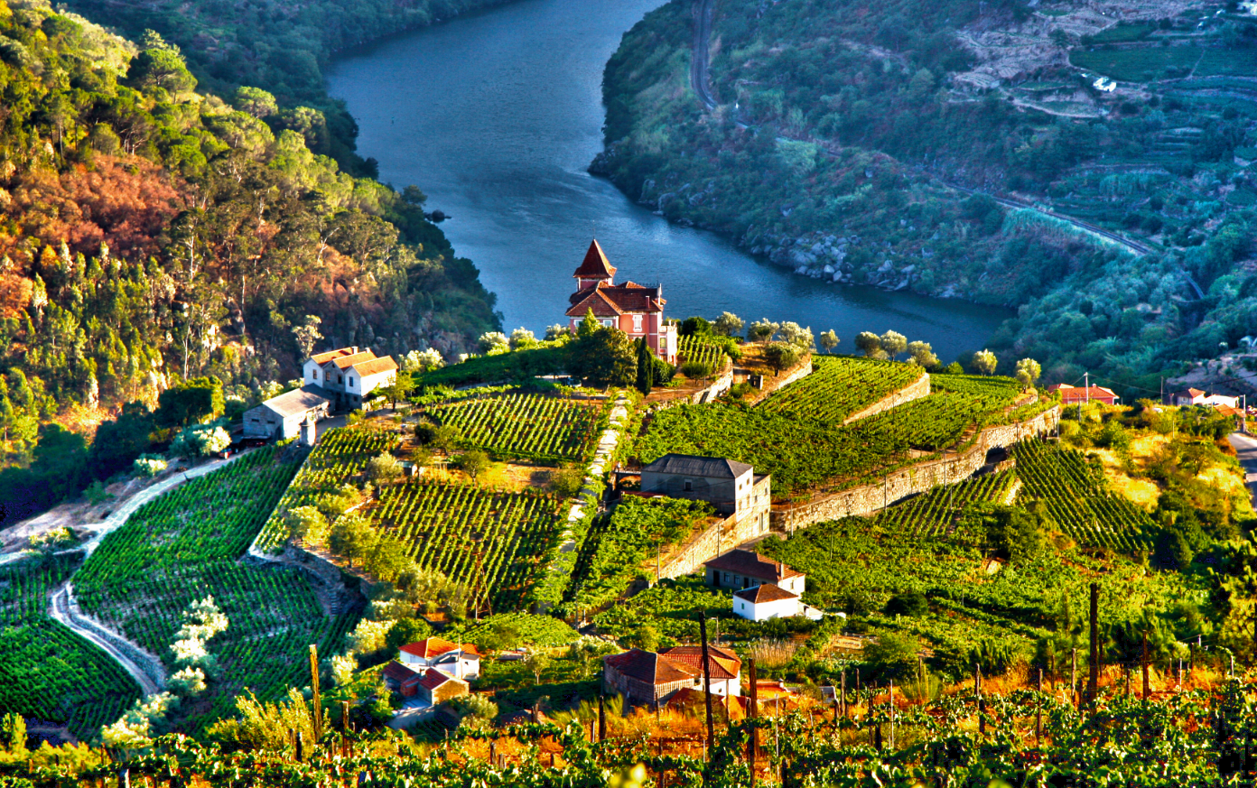 Autem przez winnice Portugalii