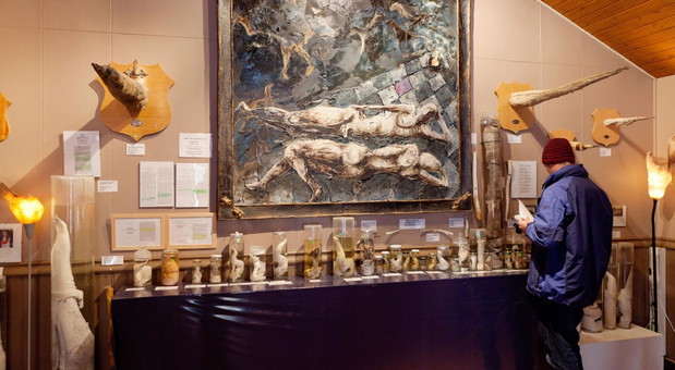 8. Naprawdę męskie muzeum