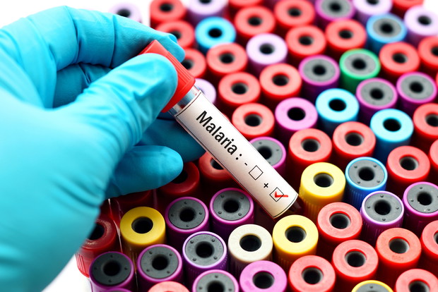 Malaria