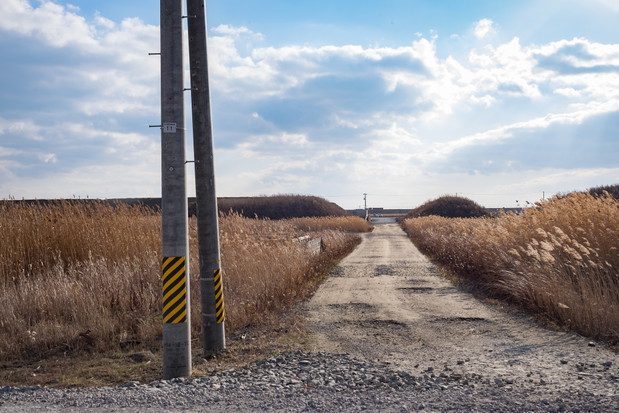 Pocztówki z Ishinomaki