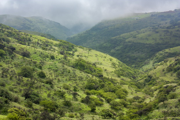 4. Salalah – Kraina Kadzidła