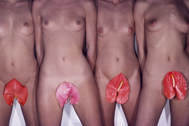 Guy Bourdian Vogue ,Francja 1976