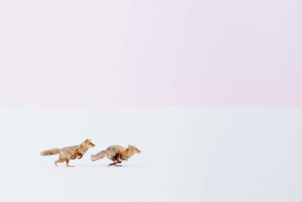 Hiroki Inoue, Hokkaido, Japonia. National Geographic Travel Photographer of the Year 2016