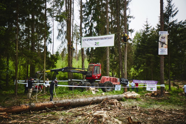 Blokada wycinki w Puszczy Białowieskiej