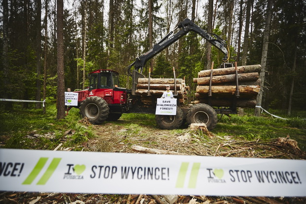 Blokada wycinki w Puszczy Białowieskiej