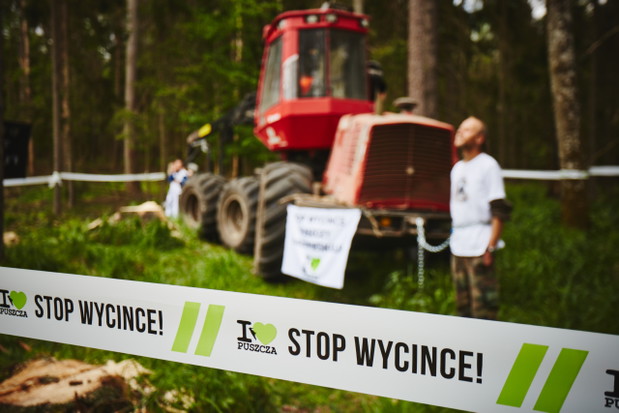 Blokada wycinki w Puszczy Białowieskiej