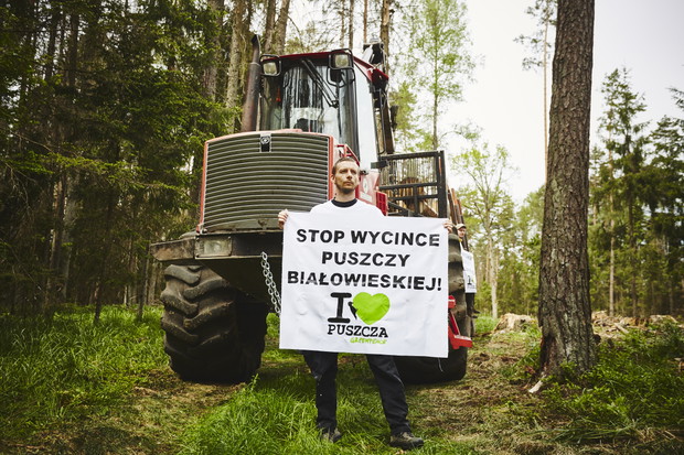 Blokada wycinki w Puszczy Białowieskiej