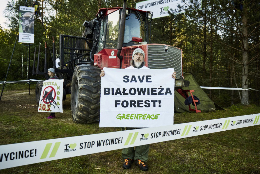 Protest w Puszczy Białowieskiej