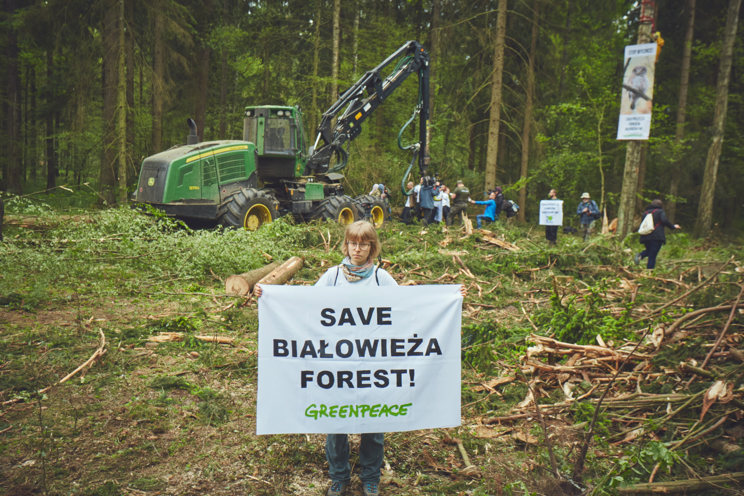 Protest w Puszczy Białowieskiej