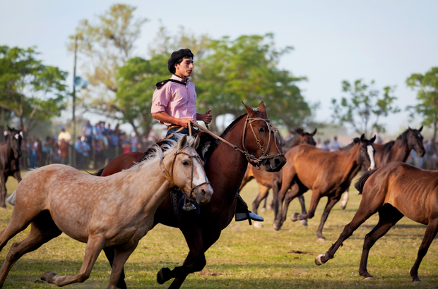 Feria de Mataderos