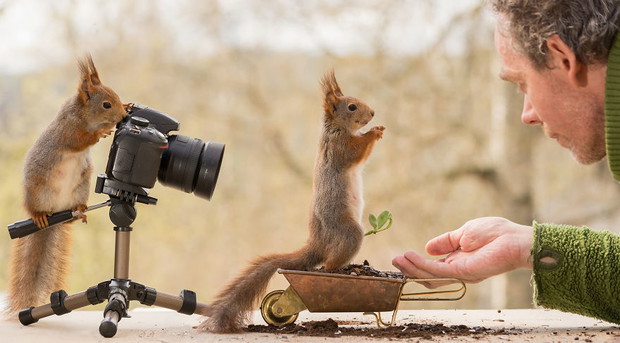 Fotograf przez 4 lata robił zdjęcia dzikim wiewiórkom. W końcu przyszedł czas na rewanż.