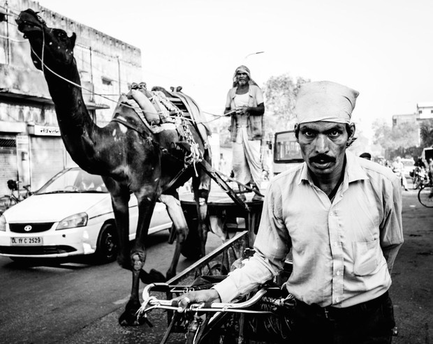 Jaipur, Indie