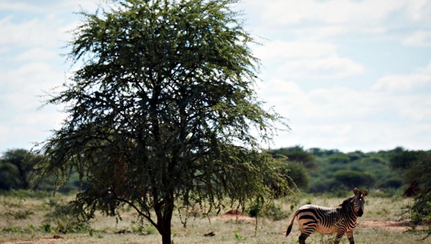 Make a Change: Africa Camp