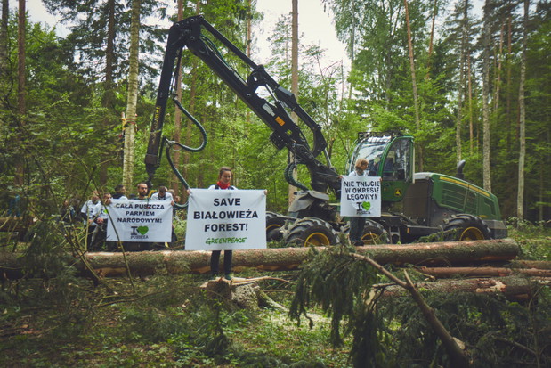 Protest w Puszczy Białowieskiej