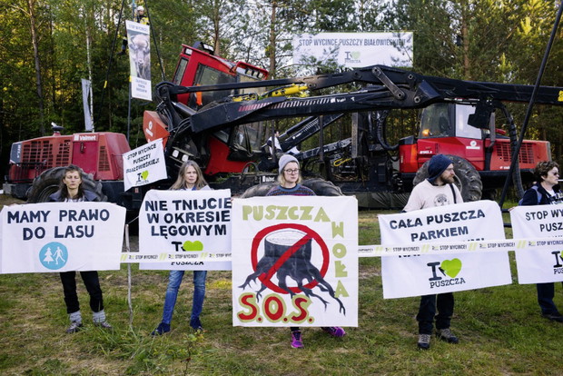 Protest w Puszczy Białowieskiej