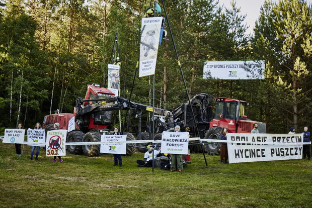 Protest w Puszczy Białowieskiej