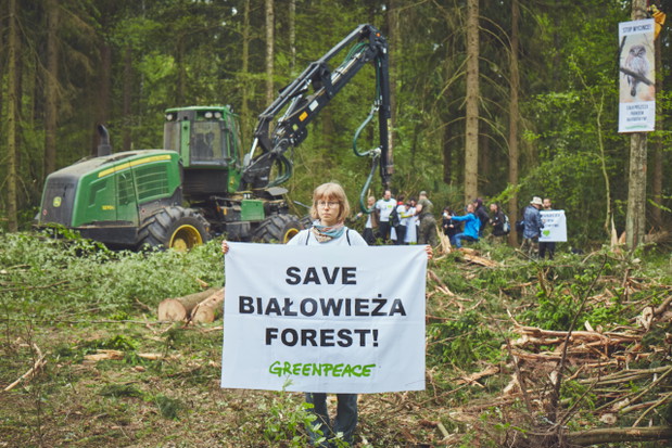Protest w Puszczy Białowieskiej
