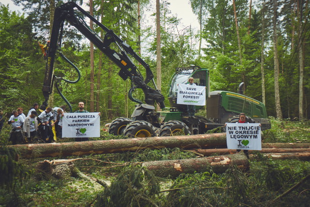 Protest w Puszczy Białowieskiej