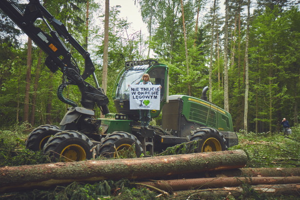 Protest w Puszczy Białowieskiej