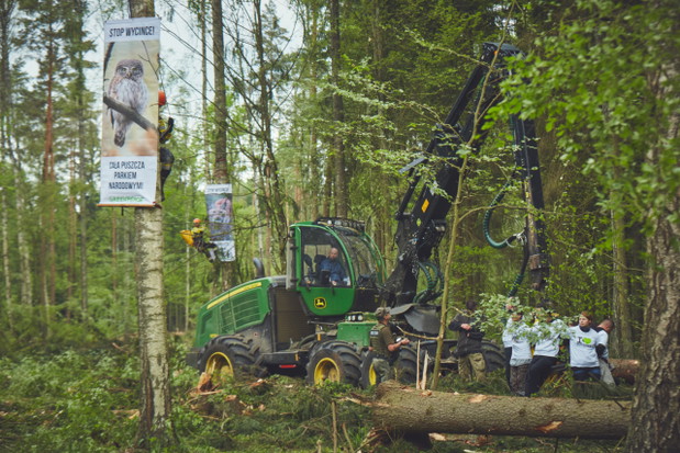 Protest w Puszczy Białowieskiej