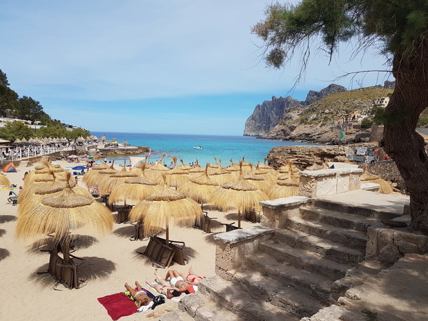 Widok na plażę z parasolami. Cala Sant Vicenc. Majorka