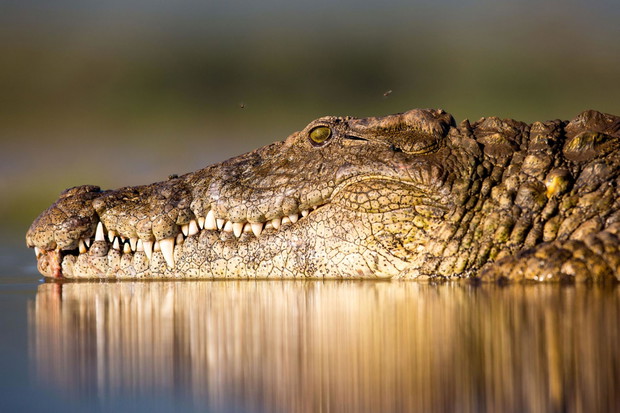 W 45 fotografii dookoła Świata