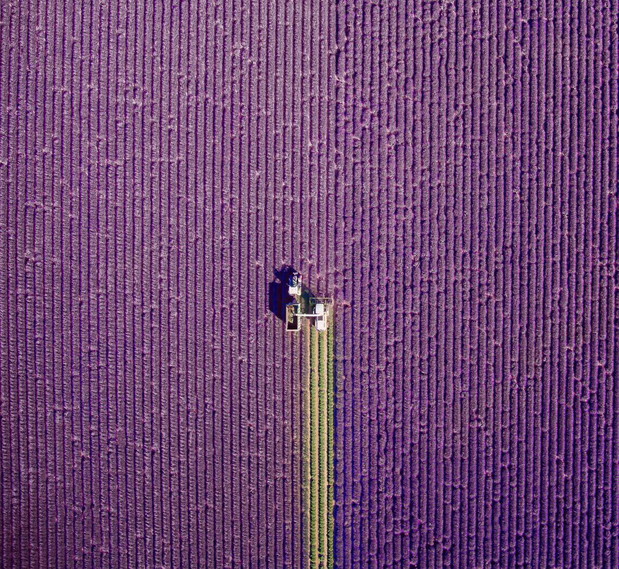 W 45 fotografii dookoła Świata