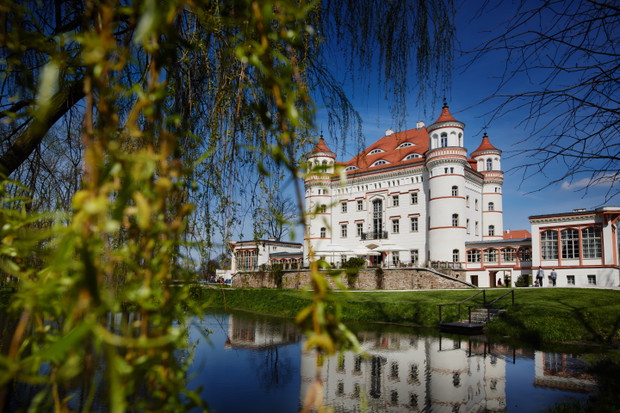 Pałac Wojanów (Jelenia Góra)