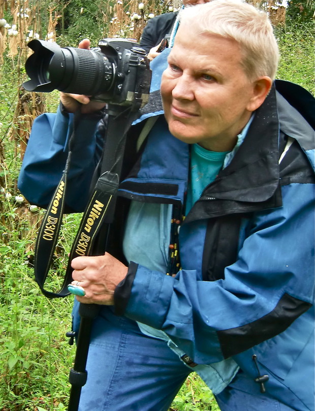 Elżbieta Dzikowska