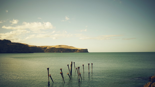 Lost at Sea - Nowa Zelandia