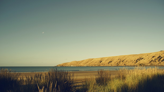 Lost at Sea - Nowa Zelandia