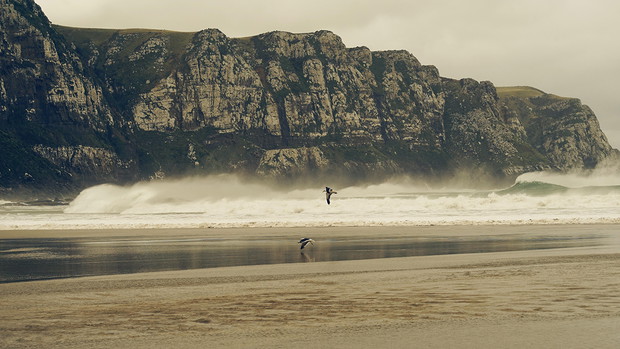 Lost at Sea - Nowa Zelandia