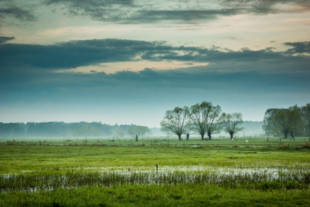 #12 Podlasie