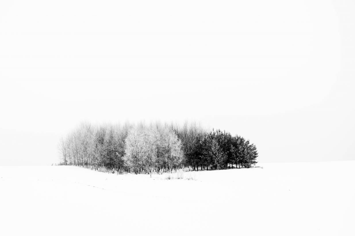 Zima