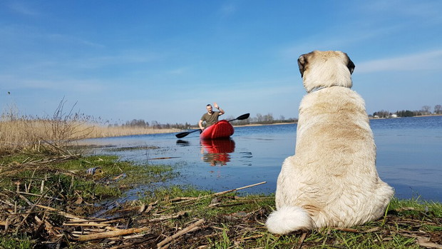 Ona, on, mops i kajak. Dmuchane canoe to ich sposób na podróżowanie