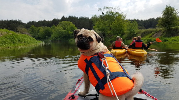 Ona, on, mops i kajak. Dmuchane canoe to ich sposób na podróżowanie