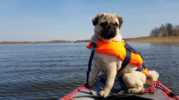 Ona, on, mops i kajak. Dmuchane canoe to ich sposób na podróżowanie