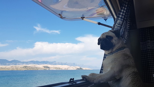 Ona, on, mops i kajak. Dmuchane canoe to ich sposób na podróżowanie