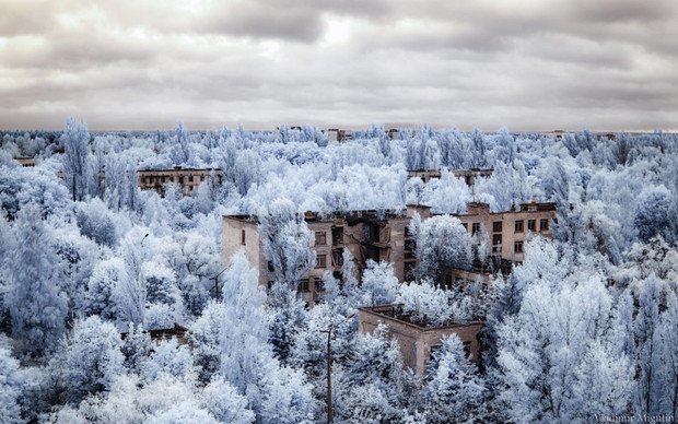 Tak wygląda Czarnobyl po 30 latach od wybuchu