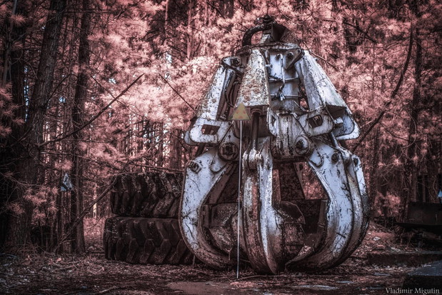 Tak wygląda Czarnobyl po 30 latach od wybuchu