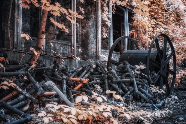 Tak wygląda Czarnobyl po 30 latach od wybuchu