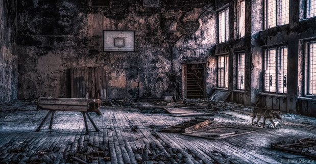 Tak wygląda Czarnobyl po 30 latach od wybuchu