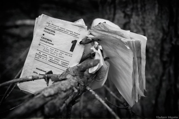 Tak wygląda Czarnobyl po 30 latach od wybuchu