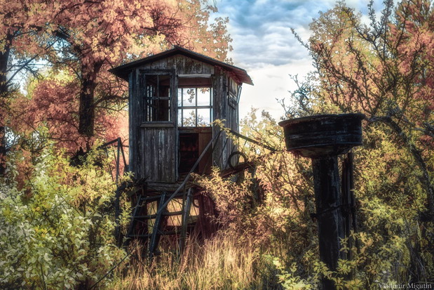 Tak wygląda Czarnobyl po 30 latach od wybuchu